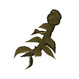SkoverDriedHerbs