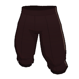 Legs_Z2U1_WizCle