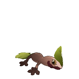 Lizard_Green